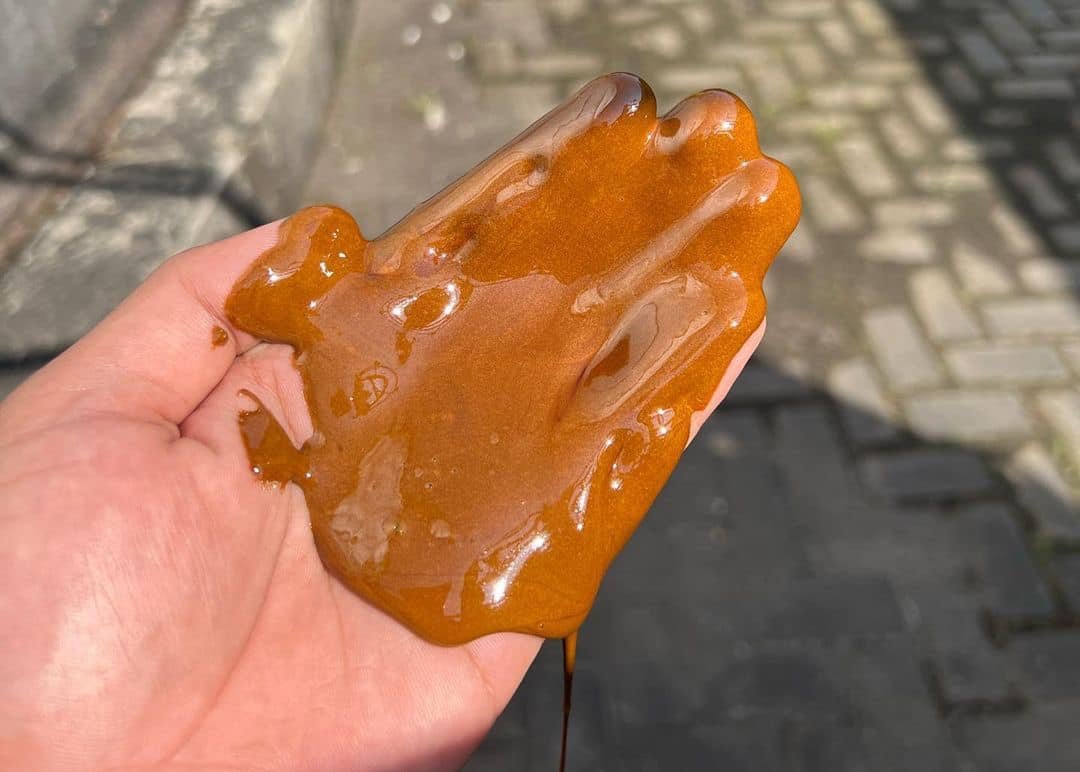 Celebes Molasses product 10