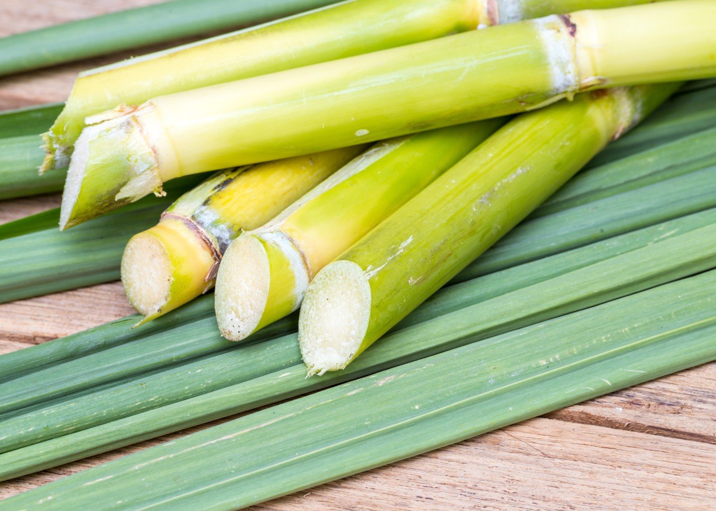 Celebes Molasses product 7